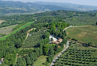 Luchtfoto van het Toscaanse landschap rond Montescudaio in Italië, met wijngaarden en heuvels.