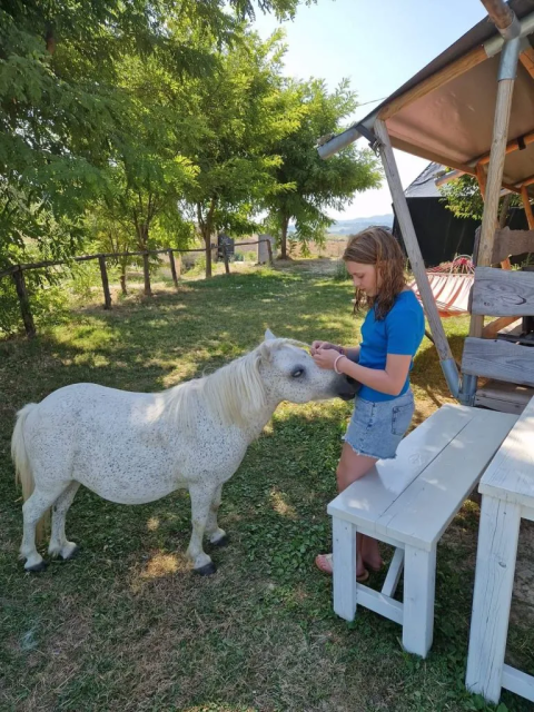 Een jonge vrouw aait een kleine witte pony in de schaduw bij Agricampeggio Tasteria in Marche, Italië.