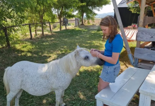 Een jonge vrouw aait een kleine witte pony in de schaduw bij Agricampeggio Tasteria in Marche, Italië.