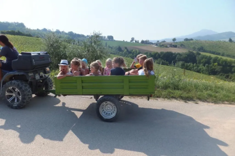 Bambini viaggiano su un carrello verde trainato da un quad tra le colline di Agricampeggio Tasteria nelle Marche.