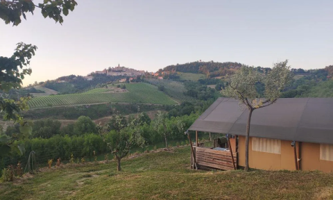 Vista rural de viñedos, colinas y una tienda de campaña en Agricampeggio Tasteria, Marche, Italia.