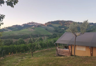 Ländliche Landschaft mit Hügeln, Weinbergen und Zeltunterkunft bei Agricampeggio Tasteria in Marche, Italien.