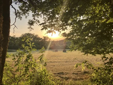View of a sunny field with hay bales at Les Savonniers holiday park in Occitanie, France, framed by trees.