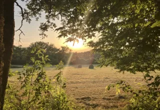 Blik op een zonnige weide met hooibalen bij vakantiepark Les Savonniers in Occitanie, Frankrijk, omlijst door bomen.