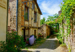 Una pintoresca callejuela con antiguas casas de piedra y vegetación en Saint-Projet, Occitania, Francia.