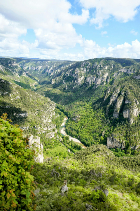 Schitterend zicht op een groene vallei met kronkelende rivier nabij Saint-Projet in Occitanie, Frankrijk.