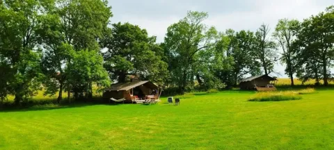 Uitgestrekt groen veld met twee safaritenten tussen bomen bij Les Savonniers in Frankrijk, ideaal om te ontspannen.