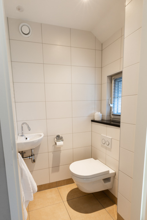 Moderne badkamer met hangtoilet, kleine lavabo en venster in Wellness Lodge XXL, Hof van Salland.