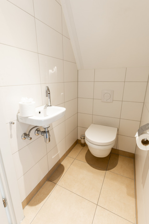 Moderne, compacte badkamer met zwevend toilet en kleine wasbak in Wellness Lodge XXL, Hof van Salland.