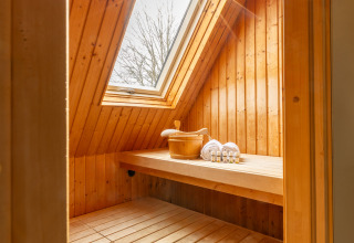Zonnig sauna-interieur met houten bekleding en dakraam in Wellness Lodge XXL, Hof van Salland, Nederland.