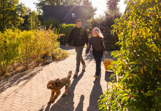 Koppel wandelt hand in hand met hond op zonnig pad bij Wellness Lodge XXL, Hof van Salland, Nederland.