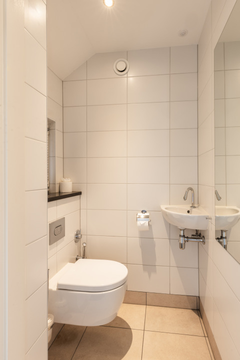 Modernes, kompaktes Badezimmer mit Wandtoilette und Waschbecken, Wellness Lodge XL, Hof van Salland, Niederlande.