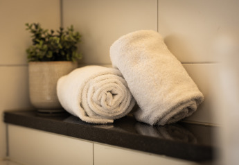 Deux serviettes blanches roulées et une plante sur une étagère à Wellness Lodge XL, Hof van Salland, Pays-Bas.