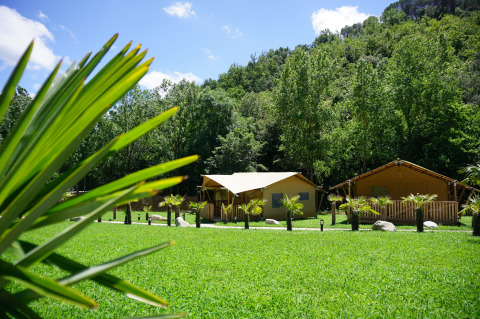 Lommerrijk gras en safaritenten bij Can Bora Lodges, vakantiepark in Catalonië, Spanje, omringd door groen.