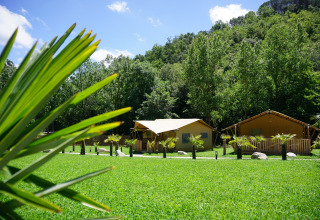 Lommerrijk gras en safaritenten bij Can Bora Lodges, vakantiepark in Catalonië, Spanje, omringd door groen.