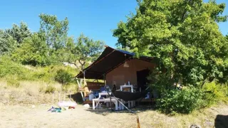 Safari tent under a large tree in a sunny natural setting, surrounded by greenery and outdoor seating.