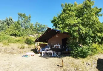 Tienda safari bajo un árbol grande en un entorno natural soleado, con muebles al aire libre alrededor.