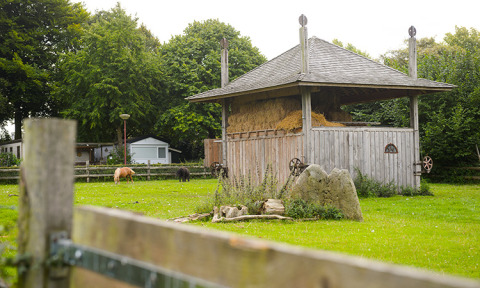 Photo of a barn, hay, and animals grazing at Campsite Mareveld holiday park in Limburg, Netherlands.