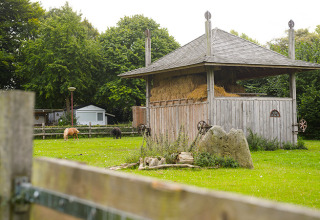 Photo of a barn, hay, and animals grazing at Campsite Mareveld holiday park in Limburg, Netherlands.