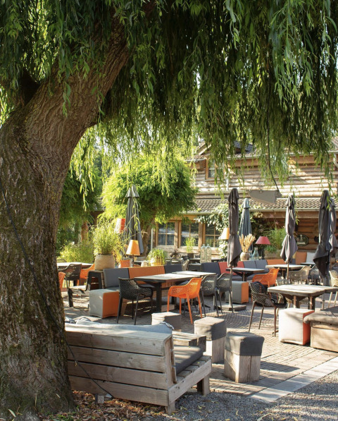 Inviting outdoor seating area beneath a large tree at Campsite Mareveld holiday park in Limburg, Netherlands.