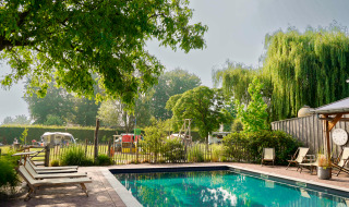Swimming pool at Campsite Mareveld in Limburg, Netherlands, surrounded by trees, loungers, and sunlight.