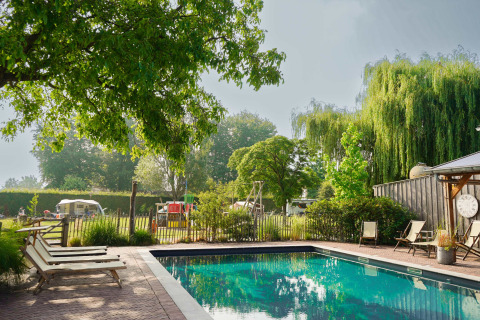 Piscina del campeggio Mareveld in Limburgo, Paesi Bassi, circondata da alberi e lettini prendisole.