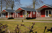 Red luxury chalets at Campsite Mareveld in the Netherlands, spring buds on branches in the foreground.