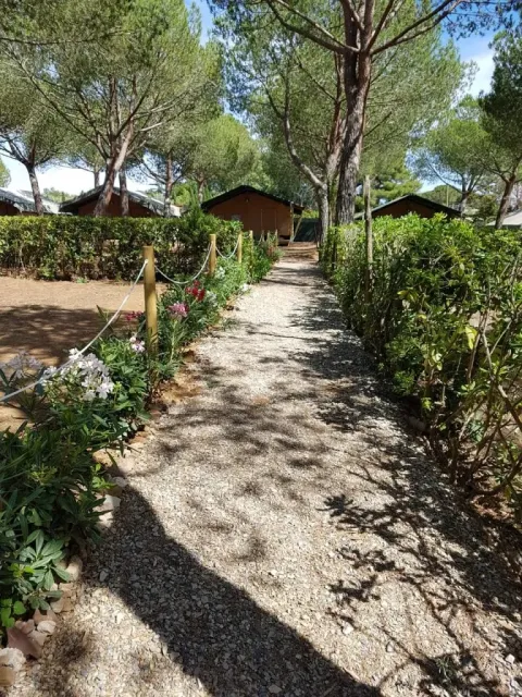 Kiesweg mit Blumen führt zu einem Safarizelt im Camping Casa dei Prati, umgeben von Bäumen in Italien.
