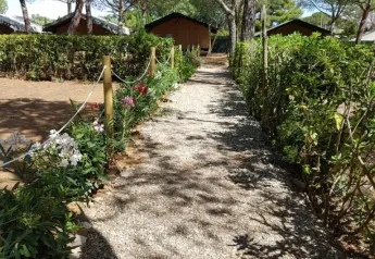 Kiesweg mit Blumen führt zu einem Safarizelt im Camping Casa dei Prati, umgeben von Bäumen in Italien.