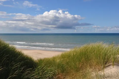 Strandudsigt fra Tornby Strand Camping i Nordjylland, Danmark, med klitter og hav under en blå himmel.