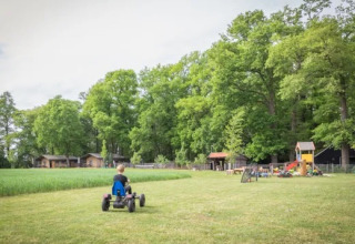 Bambino su un go-kart in un prato con parco giochi, casette e alberi a Landrijk de Reesprong, Overijssel.