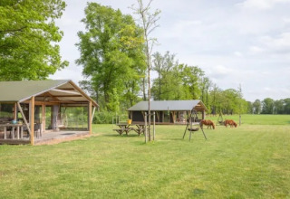 Landrijk de Reesprong holiday park in Overijssel, Netherlands, with lodges, swings, picnic tables and ponies.