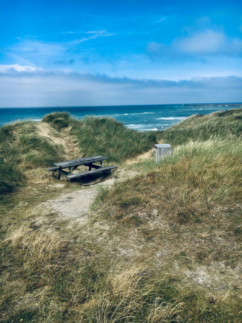 Tavolo da picnic e dune erbose con vista mare a Tornby Strand Camping, Jutland settentrionale, Danimarca.