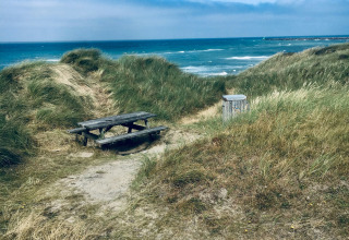 Picknickbank en duinen aan zee bij Tornby Strand Camping, Noord-Jutland, Denemarken, onder blauwe lucht.