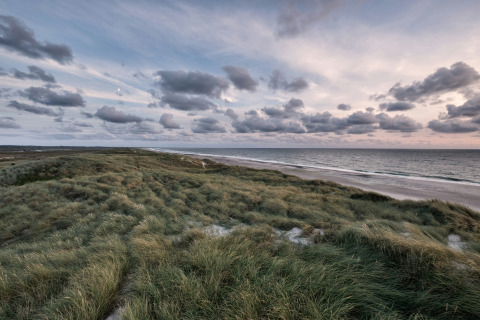 Vue sur les dunes et la plage à Tornby Strand Camping, Jutland du Nord, Danemark, sous un ciel nuageux.