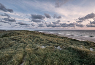 Vista de dunas y playa en Tornby Strand Camping en Jutlandia del Norte, Dinamarca, bajo un cielo nublado.