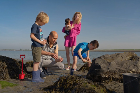 Familie erkundet bei Ebbe den Strand in der Nähe von Villa Oesterdam im Oesterdam Resort, Niederlande.