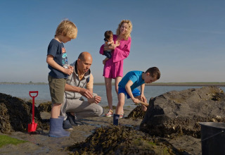 Familie erkundet bei Ebbe den Strand in der Nähe von Villa Oesterdam im Oesterdam Resort, Niederlande.