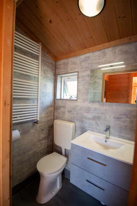 Modern bathroom with wood ceiling, toilet, sink, mirror, and towel radiator at Chalet at Campsite Mareveld.