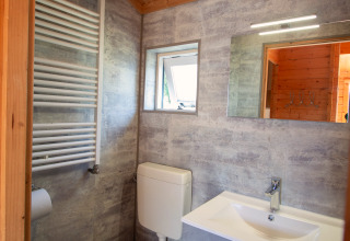 Modern bathroom with wood ceiling, toilet, sink, mirror, and towel radiator at Chalet at Campsite Mareveld.