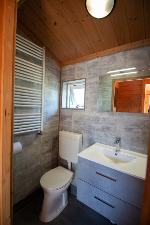 Modern bathroom with wood ceiling, toilet, sink, mirror, and towel radiator at Chalet at Campsite Mareveld.