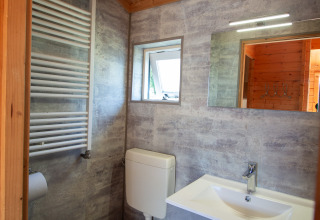 Modern bathroom with wood ceiling, toilet, sink, mirror, and towel radiator at Chalet at Campsite Mareveld.