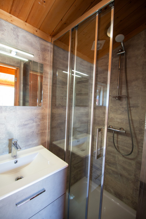 Modern bathroom in a chalet at Campsite Mareveld in the Netherlands, featuring a shower and washbasin with mirror.