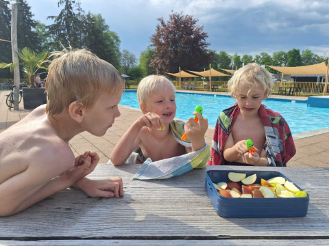 Drie kinderen zitten bij een tafel naast het zwembad in Park Drentheland, Drenthe, Nederland, met appels.