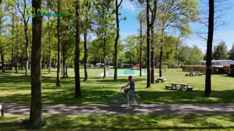 Man fietst op een pad tussen de bomen in vakantiepark Park Drentheland met picknicktafels en groene velden.