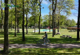Man fietst op een pad tussen de bomen in vakantiepark Park Drentheland met picknicktafels en groene velden.