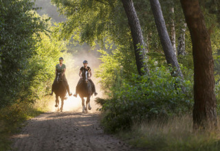 Twee ruiters genieten van een paardrijtocht over een zonnig bospad in Park Drentheland, Drenthe, Nederland.