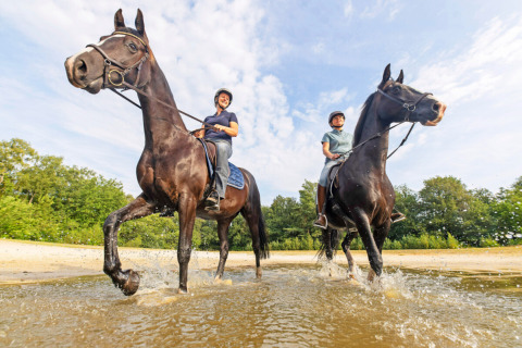 Twee ruiters maken een rit door ondiep water in Park Drentheland, Drenthe, Nederland, op een zonnige dag.