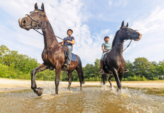Twee ruiters maken een rit door ondiep water in Park Drentheland, Drenthe, Nederland, op een zonnige dag.