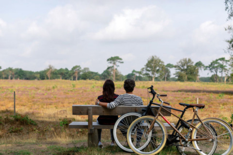 Twee mensen zitten op een bankje met fietsen ernaast en genieten van het uitzicht in Park Drentheland, Drenthe.